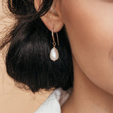 Prado Pearl Gold Drop Earrings