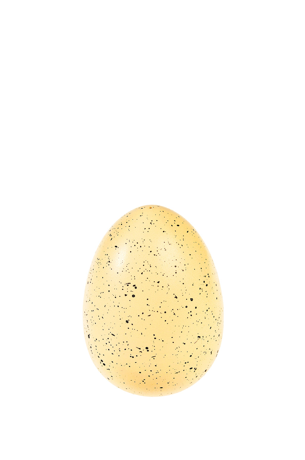 Giant Hatching Dinosaur Egg