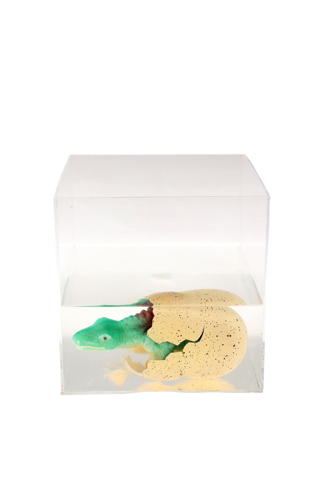 Giant Hatching Dinosaur Egg