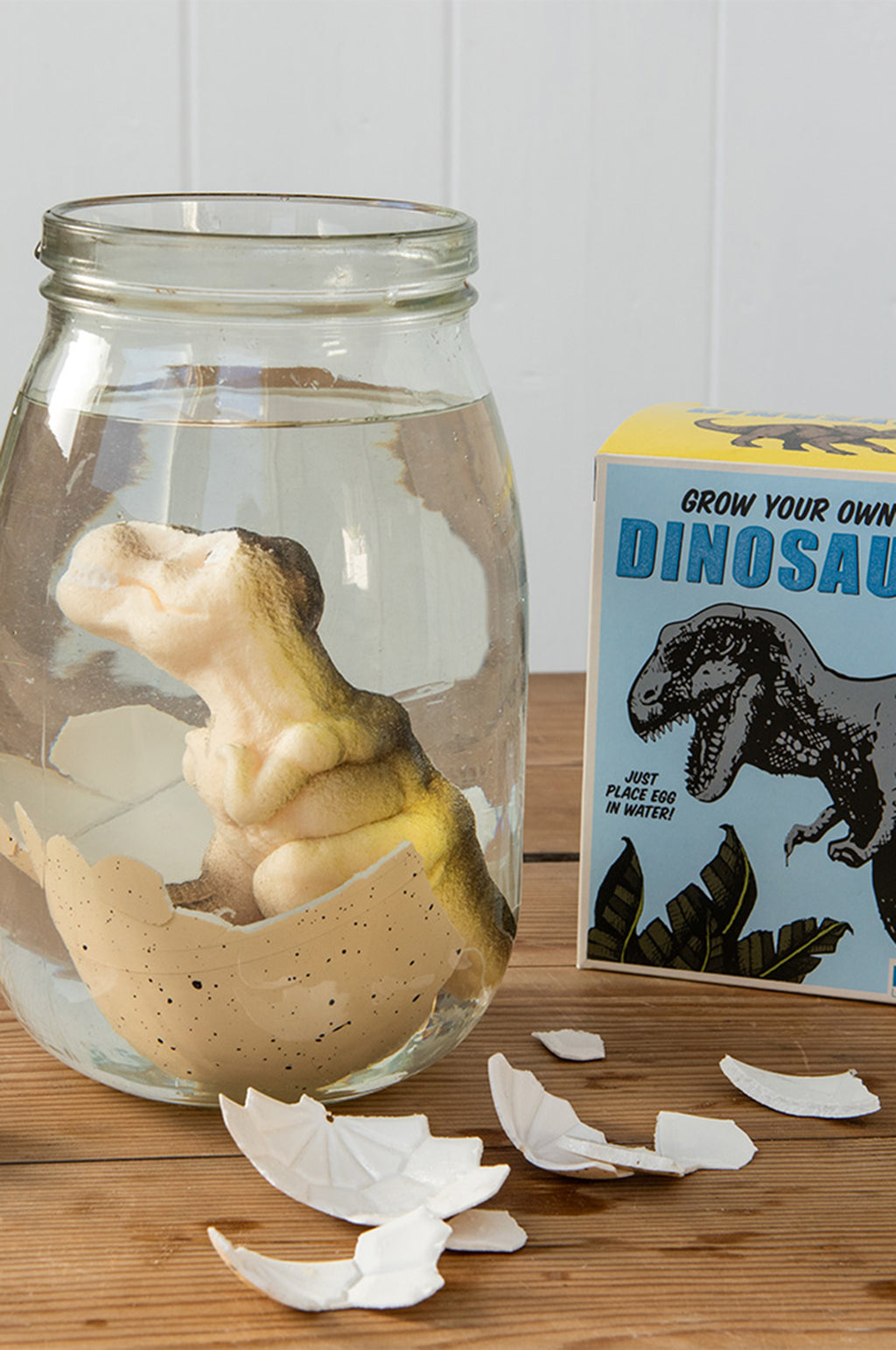 Giant Hatching Dinosaur Egg