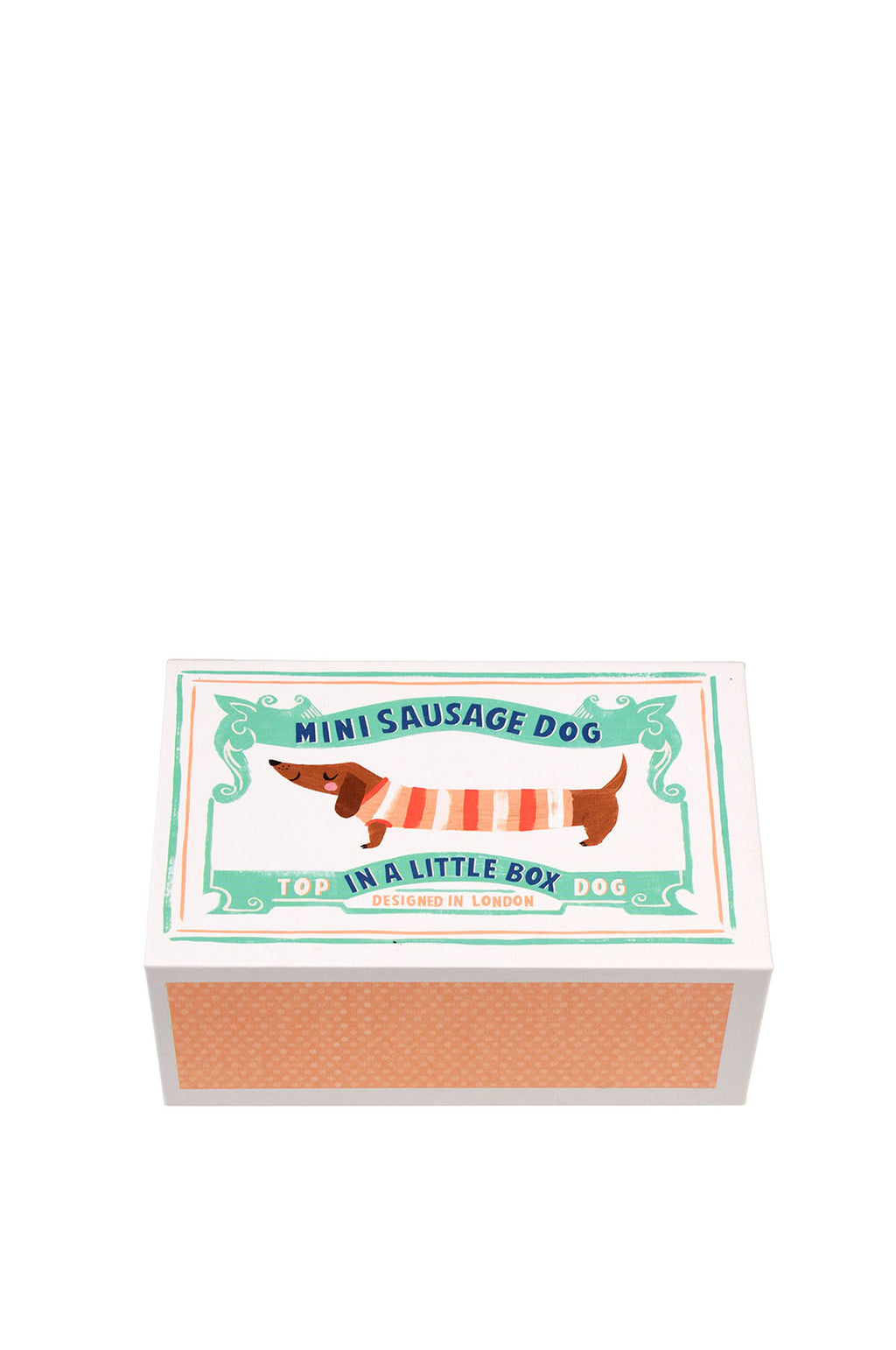 Mini Sausage Dog In A Little Box