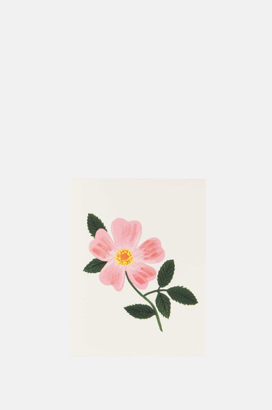 Wild Prairie Rose Card