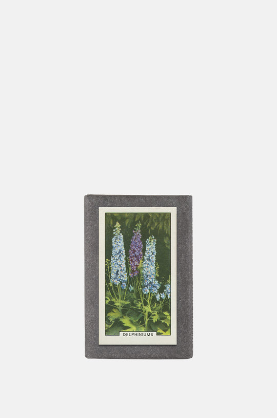 Garden Flowers Label Soap Delphiniums