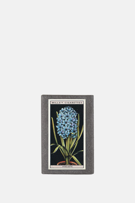 Vintage Pot Plants Label Soap Hyacinth