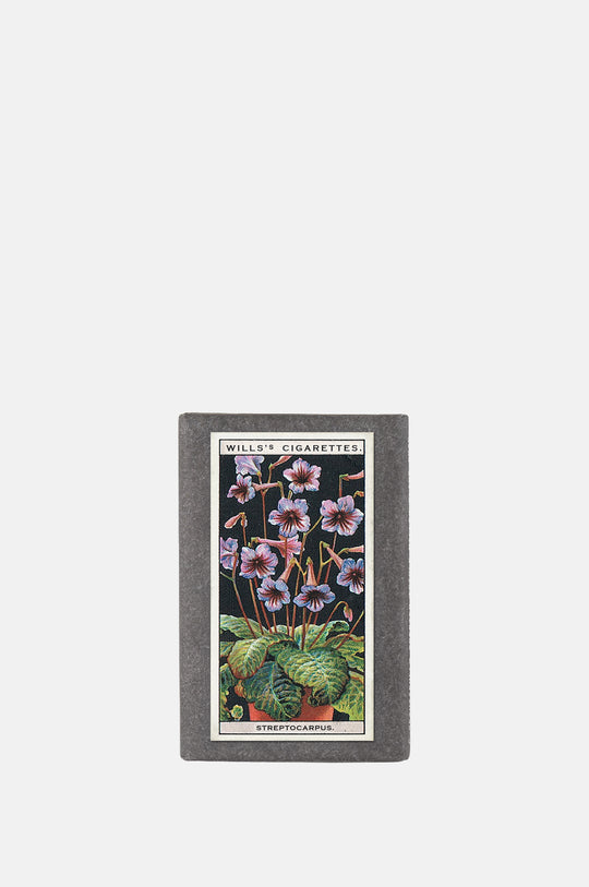 Vintage Pot Plants Label Soap Streptocarpus