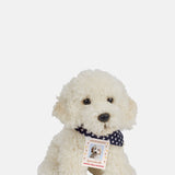 Teddy Hermann Labradoodle.