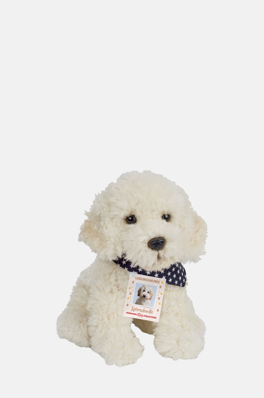 Labradoodle