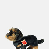 Teddy Hermann Wire Haired Dachshund.