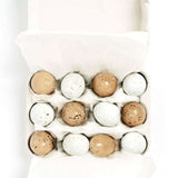 Old Cotswold Legbar Eggs 150g