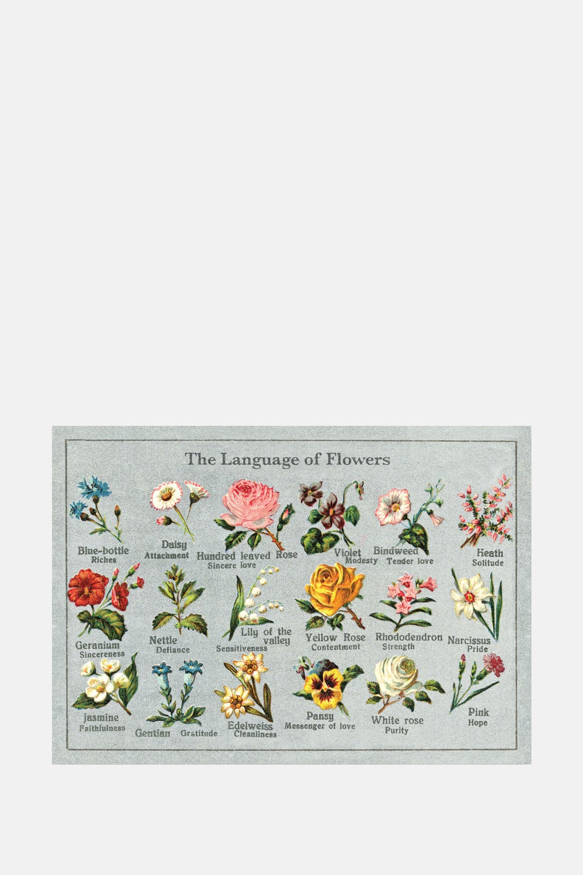The Pattern Book Language of Flowers Greeting Card.