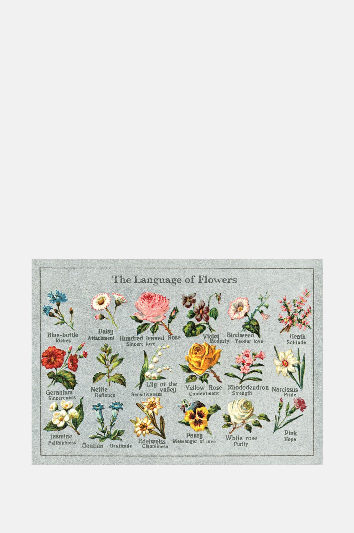 The Pattern Book Language of Flowers Greeting Card.