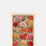 The Pattern Book Roses Greeting Card.