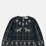 The Tiny Big Sister Embroidered Check Puff Sleeves Blouse.