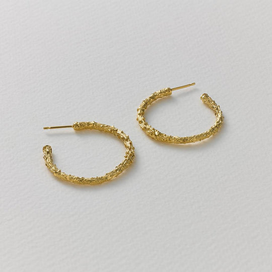 A.M. Pine Twig Hoop Earrings Gold