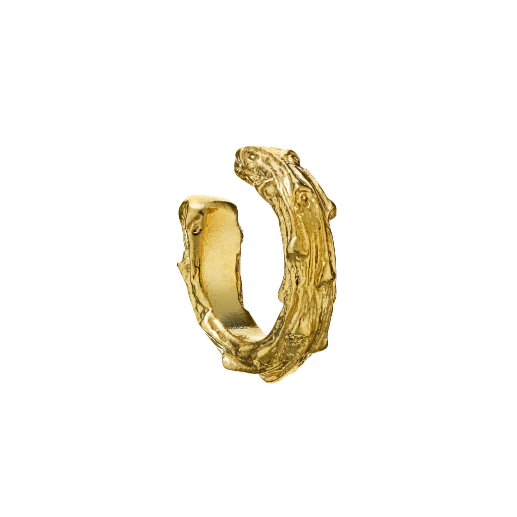 A.M. Pine Twig Earring Cuff Gold