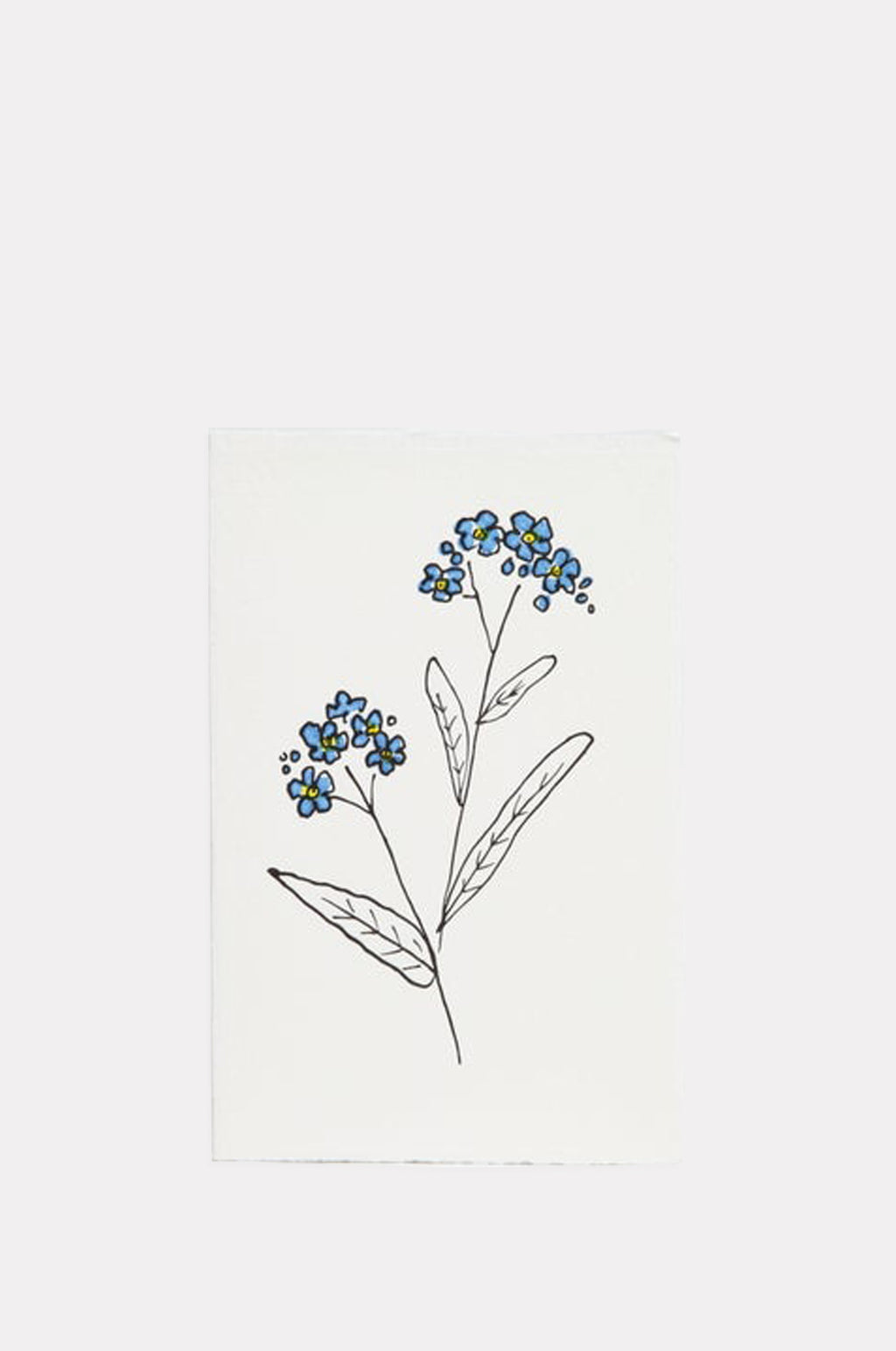 Forget Me Not Card